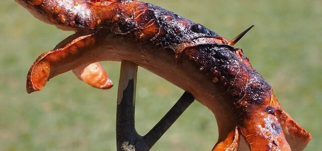 Comida com L: linguiça, lombo, lagosta e mais