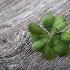 Quais são as cores da sorte de cada signo em 2026?