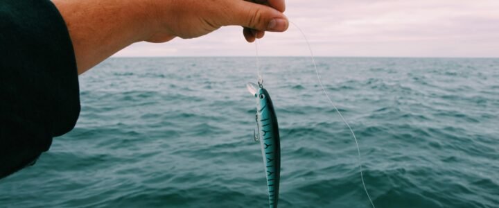 Quais peixes a isca artificial pega? Quais peixes a isca artificial pega?